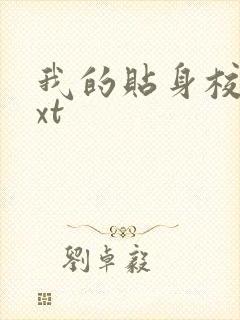我的贴身校花txt封面
