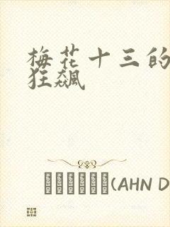 梅花十三的乳液狂飙