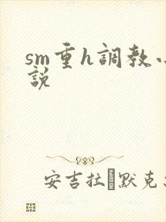 sm重h调教小说