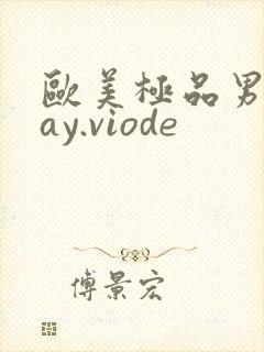 欧美极品男男gay.viode封面