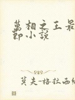 万相之王最新章节小说