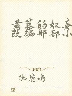 黄蓉的奴妾小说改编哪部小说