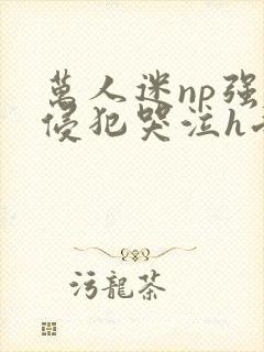万人迷np强迫侵犯哭泣h受攻