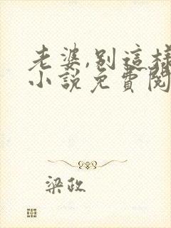 老婆,别这样 小说免费阅读
