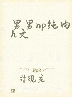 男男np纯肉高h文