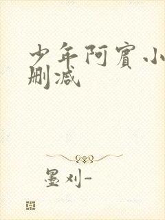少年阿宾小说无删减封面