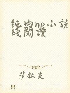 纯肉np小说在线阅读