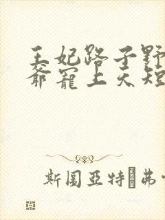 王妃路子野,王爷宠上天短剧