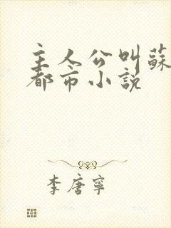 主人公叫苏晨的都市小说