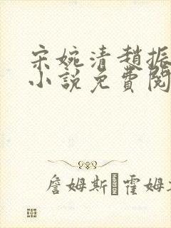 宋婉清赵振国的小说免费阅读最新章节封面