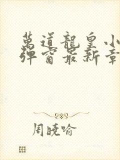 万道龙皇小说无弹窗最新章节封面