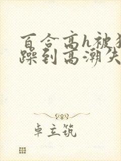 百合高h被狂c躁到高潮失禁女小说
