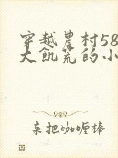 穿越农村58年大饥荒的小说封面