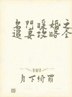 名门暖婚之权爷追妻攻略全文免费阅读