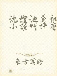 沈煜池鸢祁明远小说叫什么名字