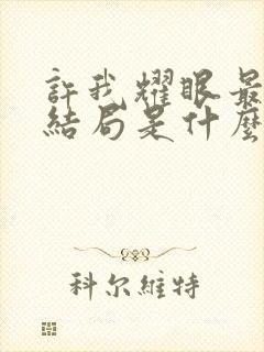 许我耀眼最后大结局是什么