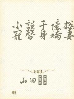 小说千亿总裁独宠替身娇妻1