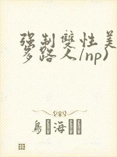 强制双性美人(多路人/np)
