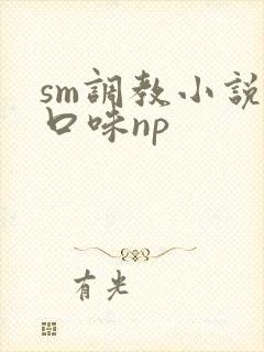 sm调教小说重口味np