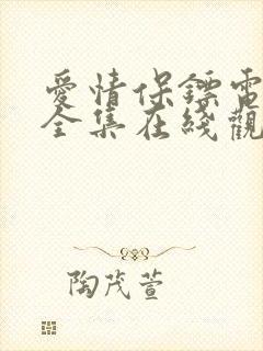爱情保镖电视剧全集在线观看免费