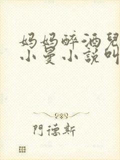 妈妈醉酒儿子赵小曼小说叫什么名字