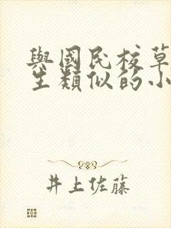 与国民校草是女生类似的小说封面