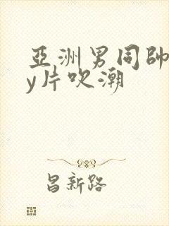 亚洲男同帅gay片吹潮
