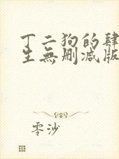 丁二狗的肆意人生无删减版小说免费封面
