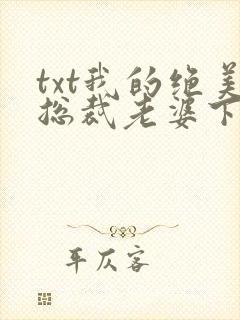 txt我的绝美总裁老婆下载