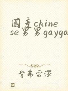 国产chinese男男gaygay在线播放封面
