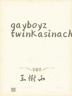gayboyztwinkasinachinese