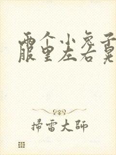两个小兔子在衣服里左右晃