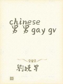 chinese男男gay gv