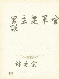 男主是军官的小说