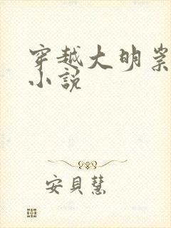 穿越大明崇祯的小说