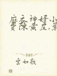麻衣神婿小说免费陈黄皮,叶红鱼