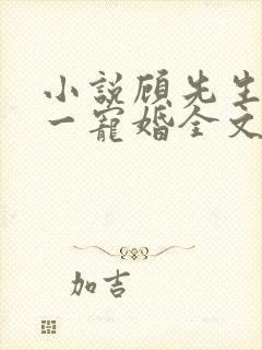小说顾先生的第一宠婚全文阅读封面
