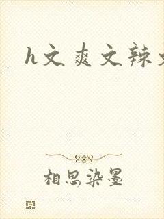 h文爽文辣文