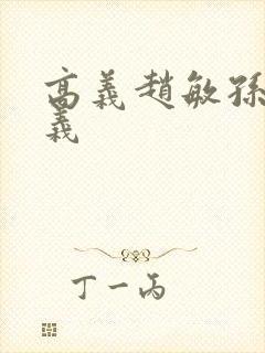 高义赵敏孙倩高义