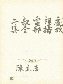 二叔电视剧40集全部播放