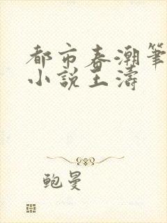 都市春潮笔趣阁小说王涛