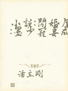 小说:闪婚厚爱:墨少宠妻成瘾