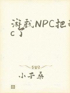 游戏NPC把我c了
