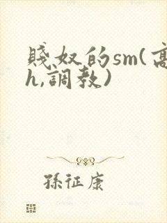 贱奴的sm(高h,调教)