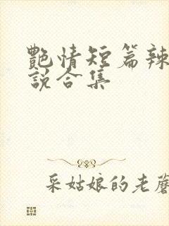 艳情短篇辣文小说合集
