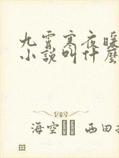 九霄寒夜暖原著小说叫什么名字封面