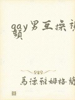 gay男互操视频