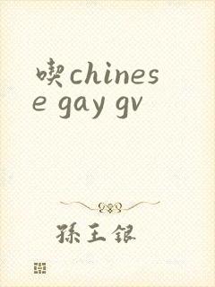 吃chinese gay gv封面