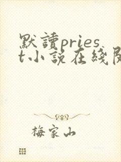 默读priest小说在线阅读免费封面