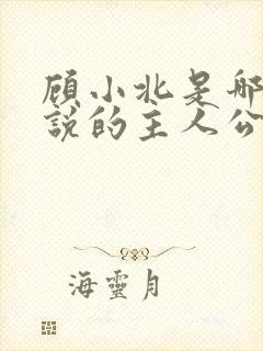 顾小北是哪部小说的主人公